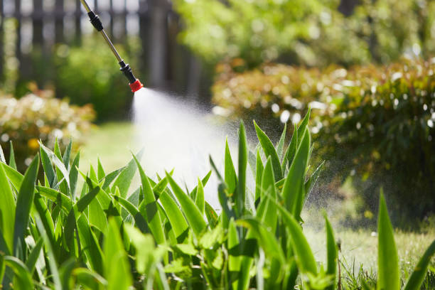 24/7 Emergency Wasp Removal experts in Taft, FL
